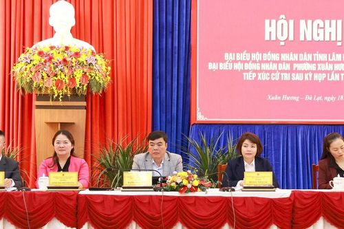 Cử tri đề nghị xử lý nghiêm các công trình xây dựng không phép, trái phép tại Đà Lạt