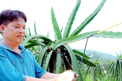 Đổi thay ở vùng quê cách mạng Hợp Lý