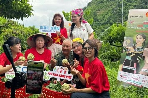 Thái Nguyên mang 'cây na số' lên Tiktok