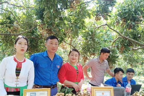Độc đáo 'phiên chợ điện tử' của thanh niên