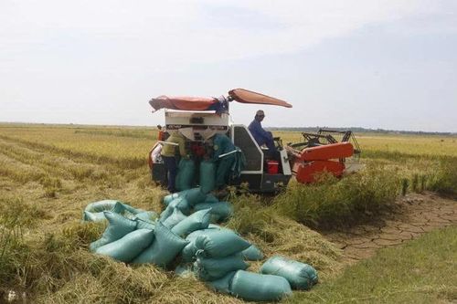 Xã Trường Ninh bứt phá vươn lên phát triển toàn diện