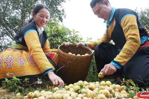 'Thủ lĩnh' Đoàn gương mẫu