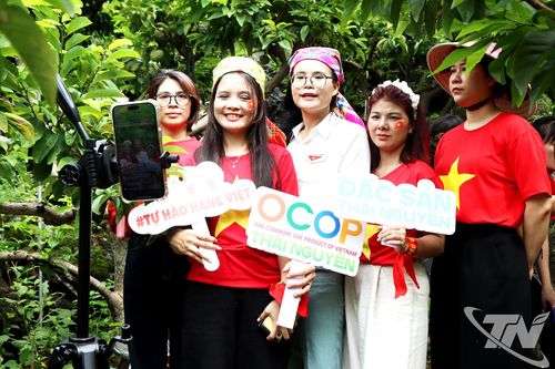 Thái Nguyên có 'vườn na số'