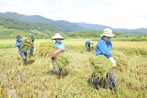 Trưởng thành nơi biên cương