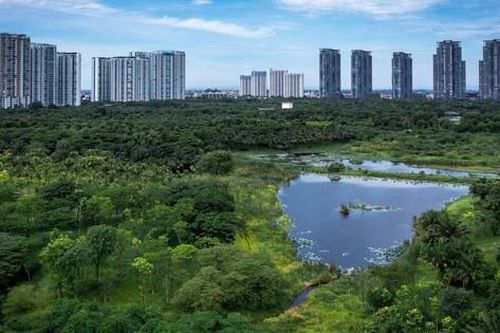 Yếu tố sống xanh được định hình vượt lên trên mọi tiêu chí