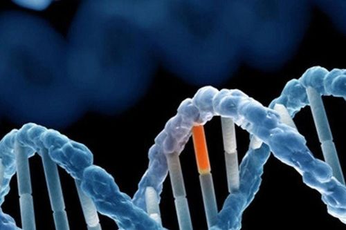 Giải mã gen giúp nâng cao cơ hội sống cho người bệnh ung thư