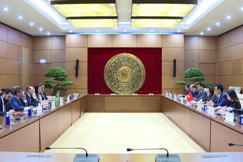 Quốc hội Việt Nam luôn coi trọng, mong muốn thúc đẩy hợp tác Quốc hội với Brazil