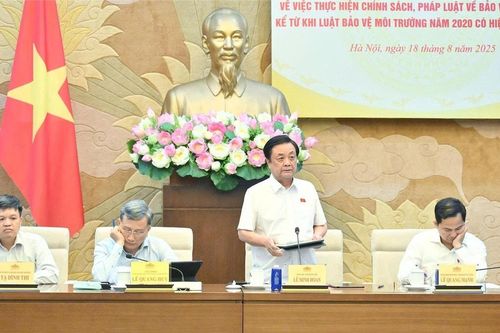 Pháp luật về môi trường cần được rà soát, hoàn thiện theo tinh thần Nghị quyết 66