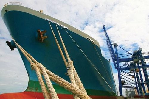 Global Pacific (PCT) vay nghìn tỷ mở rộng đội tàu, lợi nhuận 6 tháng 'bốc hơi' 38%