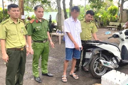 Thông tin chi tiết vụ 3 người bị khởi tố về hành vi mua bán, vận chuyển tê tê Java