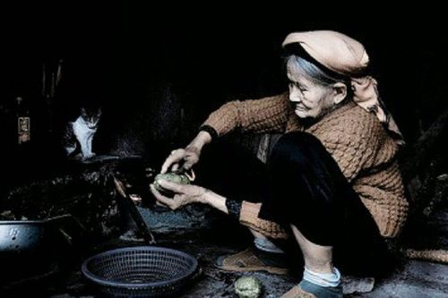 Tôi lấy chồng xa, suốt hai năm chưa về, ngày trở lại òa khóc khi thấy cha ngồi run run bên hiên nhà, mẹ tóc bạc trắng chờ con