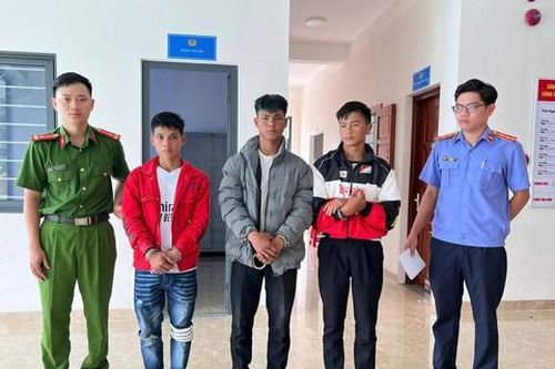 'Bắt nóng' 3 đối tượng trộm gần 300 gốc sâm Ngọc Linh
