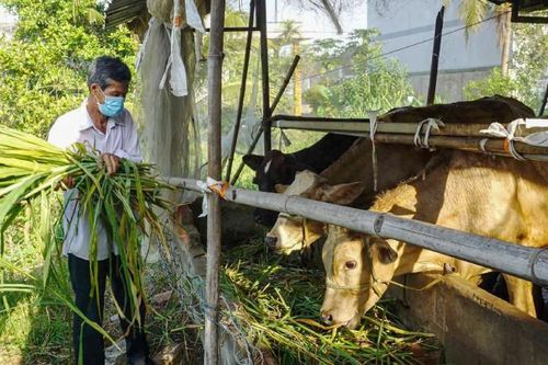Tây Ninh dồn lực cho an sinh xã hội: Lan tỏa sức sống từ những mô hình cộng đồng