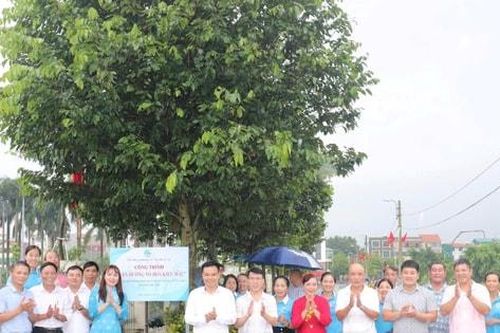 Xã Thuận An gắn biển công trình 'Tuyến đường nở hoa kiểu mẫu'