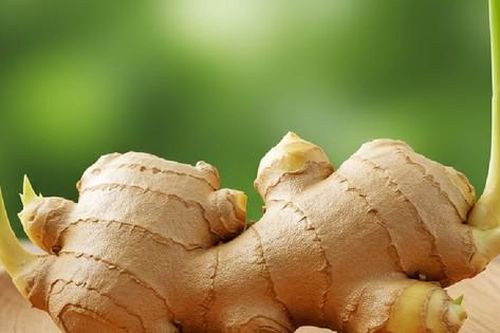 Bình gừng nảy lộc dễ làm nhưng là 'phép màu' phong thủy mang lại may mắn, xua đuổi vận xui cho nhà ở và nơi làm việc