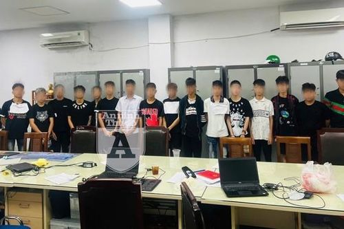 Hai 'báo thủ' hầu tòa vì sự côn đồ