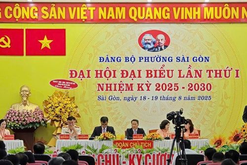 Giám đốc Học viện Cán bộ TP Hồ Chí Minh được chỉ định làm Bí thư Đảng ủy phường Sài Gòn