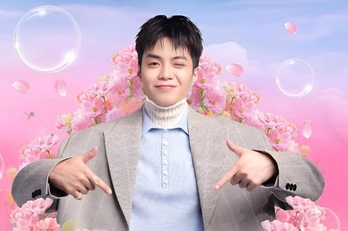 Ồn ào của các hãng băng vệ sinh