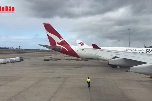 Australia phạt hãng hàng không quốc gia 59 triệu USD vì sa thải nhân viên trái phép