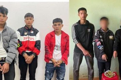 Điều tra làm rõ 2 nhóm trộm hàng trăm cây sâm Ngọc Linh