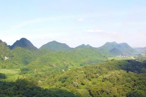 Tìm thấy thi thể du khách mất tích trong rừng Cúc Phương