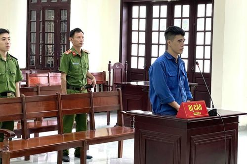 Không nương tay với tội phạm liên quan đến động vật hoang dã tại Việt Nam