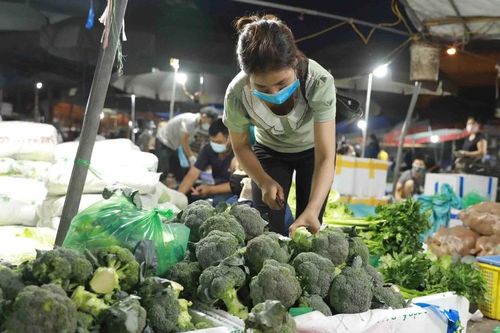 Nghịch lý tiêu chuẩn kép nông sản Việt - kỳ cuối: Nội địa bài bản, thế giới mới tin