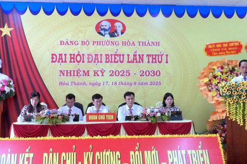 Đại hội tiên phong 'không giấy' đầu tiên tại Cà Mau