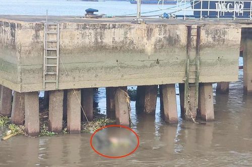 Phát hiện thi thể trôi sông tại khu vực Tổng kho xăng dầu Nhà Bè