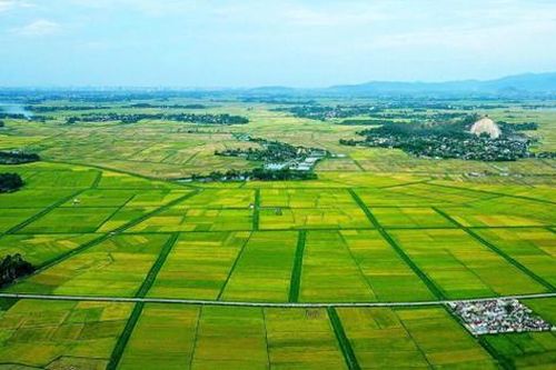 Người dân được nới thời hạn ghi nợ tiền sử dụng đất khi cấp sổ lần đầu