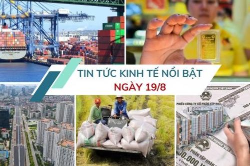 Tin tức kinh tế ngày 19/8: Phát hành trái phiếu doanh nghiệp giảm gần 65%