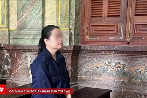 Giám đốc vào tù vì khai báo gian dối để 'né' thuế