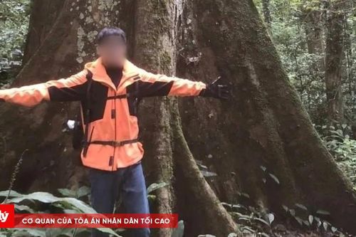 Tìm thấy thi thể nam thanh niên mất tích ở rừng Cúc Phương