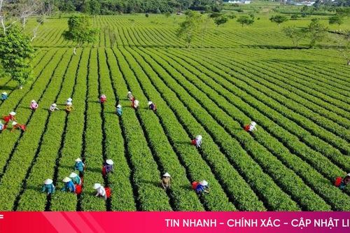 ADB mong muốn xây dựng mô hình du lịch 'chữa lành' tại Hà Tĩnh