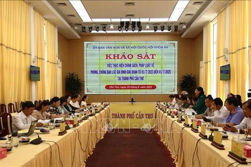 Kiến nghị điều chỉnh một số văn bản Luật, nâng cao hiệu quả phòng, chống bạo lực gia đình