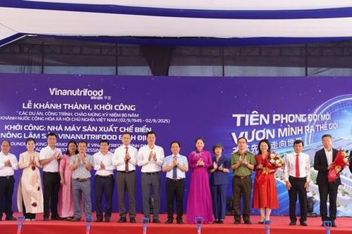 Gia Lai sẽ có dự án chế biến nông sản hiện đại sử dụng công nghệ AI