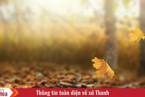 Trong veo… tháng Tám