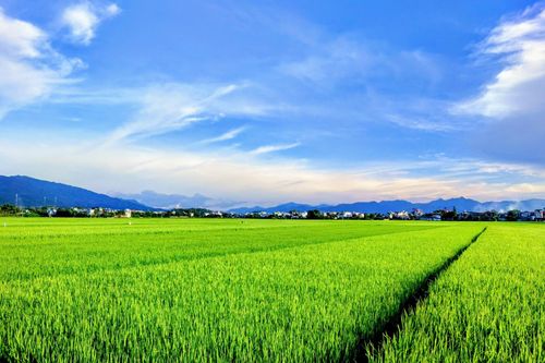 Bản tin Dự báo thời tiết ngày 20/8/2025