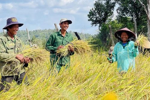 Chư Krey chuyển biến mạnh mẽ, hướng tới mục tiêu bứt phá