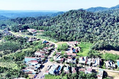 Phát huy nội lực, Sơn Lang tự tin vươn lên