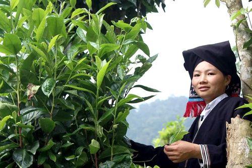 Chiến khu Giằng Xèo - Nơi truyền thống cách mạng soi đường