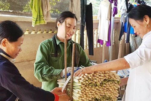 Phát triển nông, lâm nghiệp gắn chuỗi giá trị ở vùng đồng bào dân tộc và miền núi