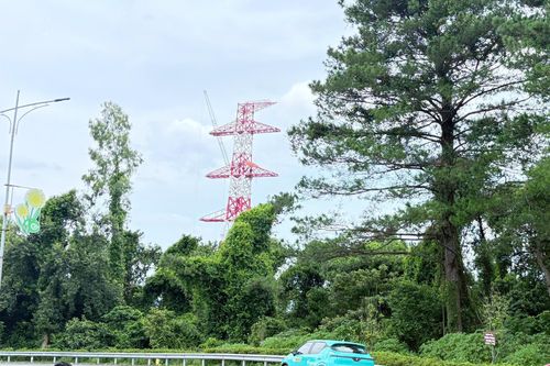 Sông Đà 5: tăng tốc về đích tại gói thầu khó nhất dự án đường dây 500kV Lào Cai – Vĩnh Yên