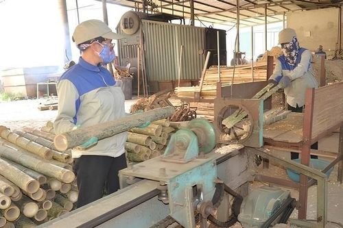 Chế biến sâu và đa dạng sản phẩm, cây luồng xứ Thanh giúp nông dân thoát nghèo
