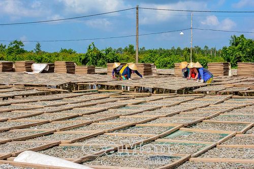 Xã Khánh Hưng: Khai thác tiềm năng, bứt phá phát triển