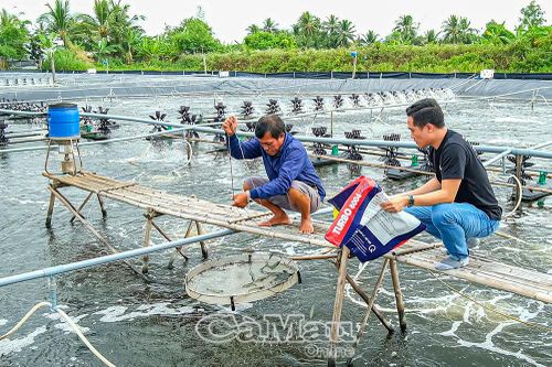 Xã Tam Giang vững tin bước vào hành trình mới
