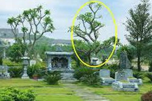 Những nơi nhiều năng lượng xấu trong tháng 'cô hồn' bạn cần biết để tránh càng xa càng tốt