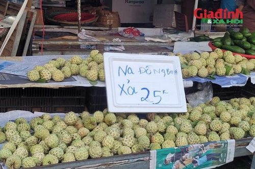 Na 'dởm' gắn mác Đồng Bành bán đầy chợ Việt, giá chỉ 20.000 đồng/kg