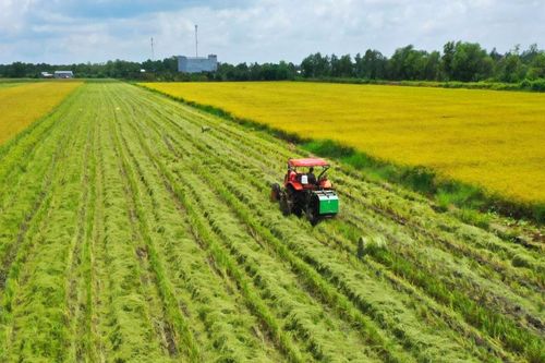 Hà Nội: Gia tăng giá trị cho nông sản chất lượng cao