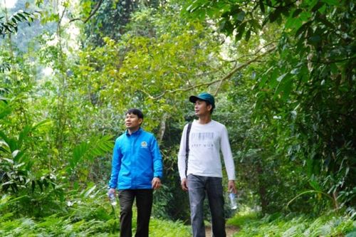 Ninh Bình: Siết chặt quản lý du lịch rừng sau sự cố ở Cúc Phương